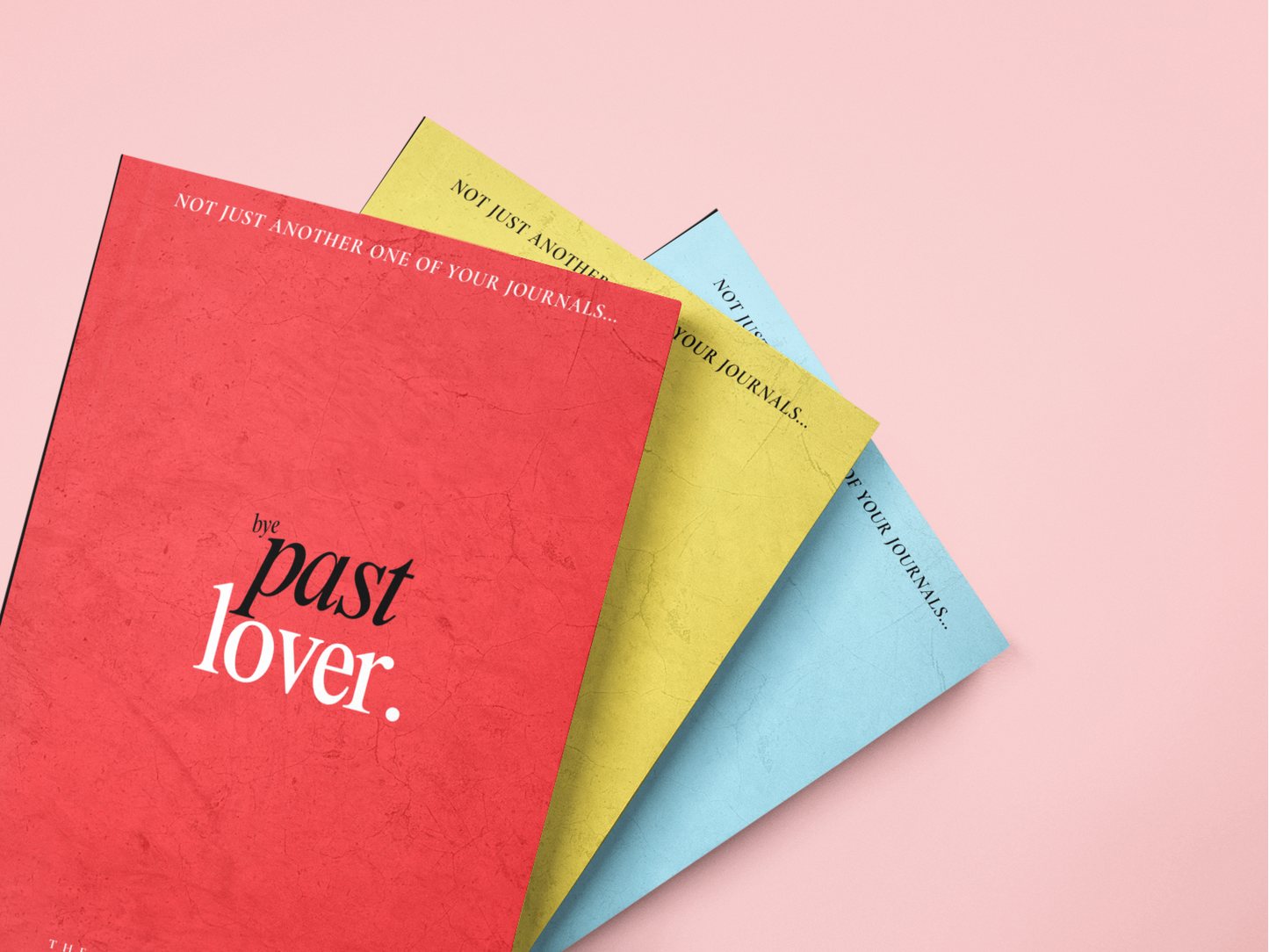 Past Lover Journal